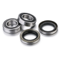Rear Wheel Bearing Kit + SPYS